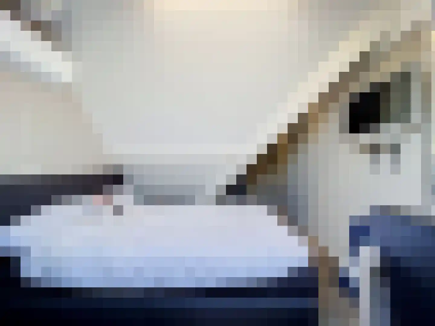 Kijkuit 7 Breskens thumbnail 20