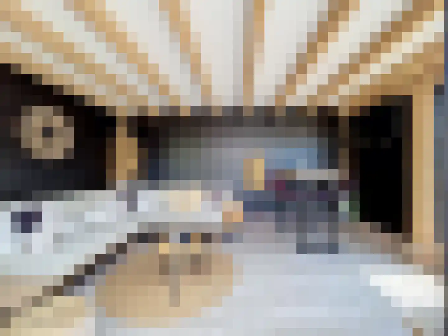 Kijkuit 7 Breskens thumbnail 26