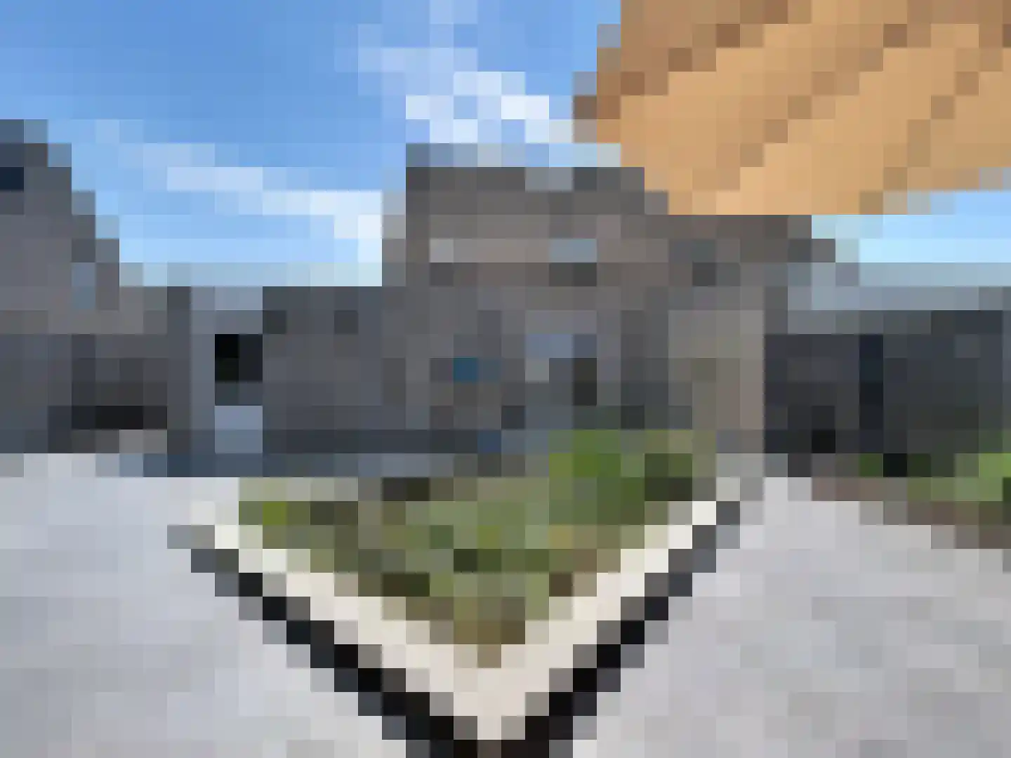 Kijkuit 7 Breskens thumbnail 28