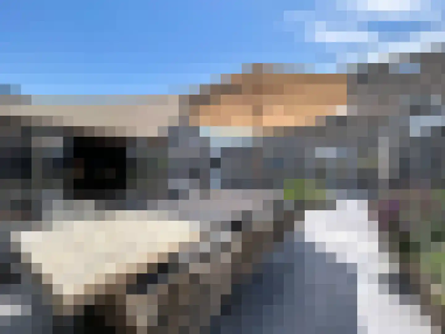 Kijkuit 7 Breskens thumbnail 29