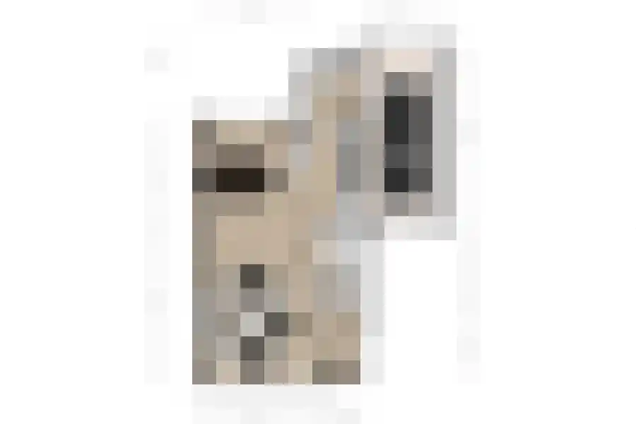 Kijkuit 7 Breskens thumbnail 30