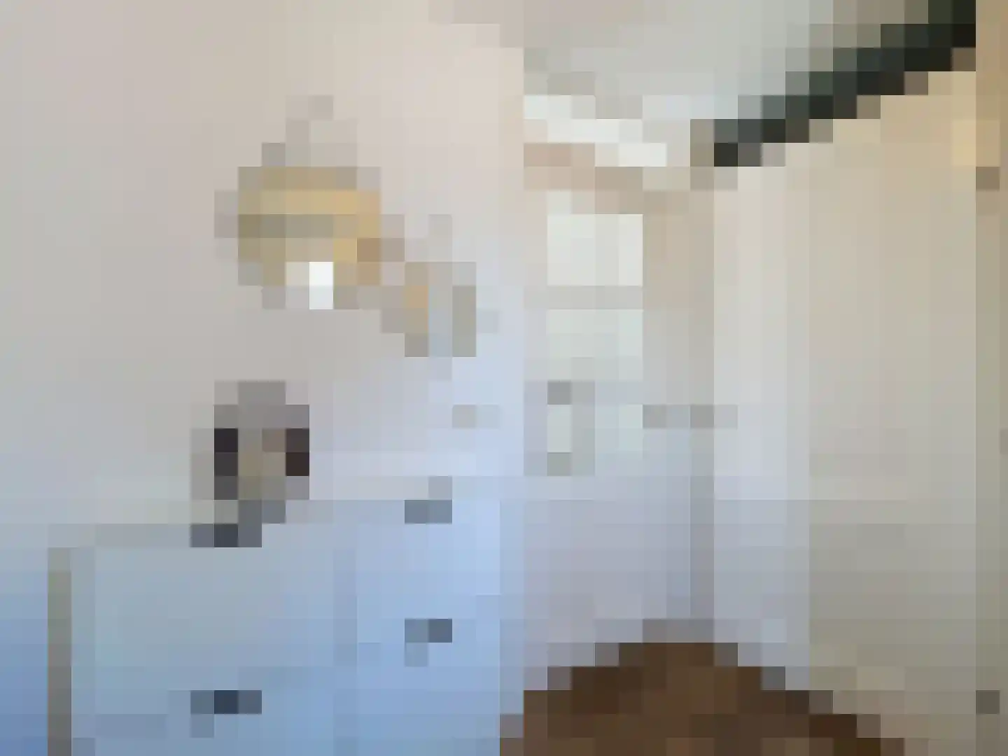 Kijkuit 7 Breskens thumbnail 4