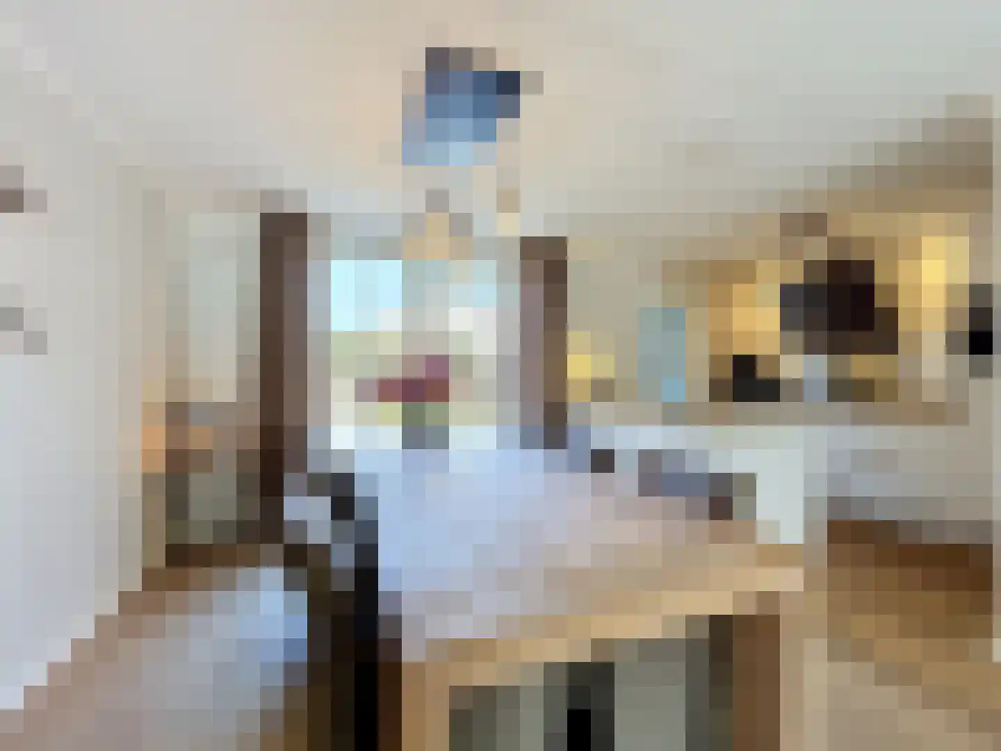 Kijkuit 7 Breskens thumbnail 9