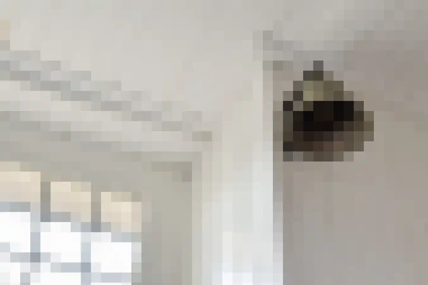Kijkuit 77 Tiel thumbnail 11