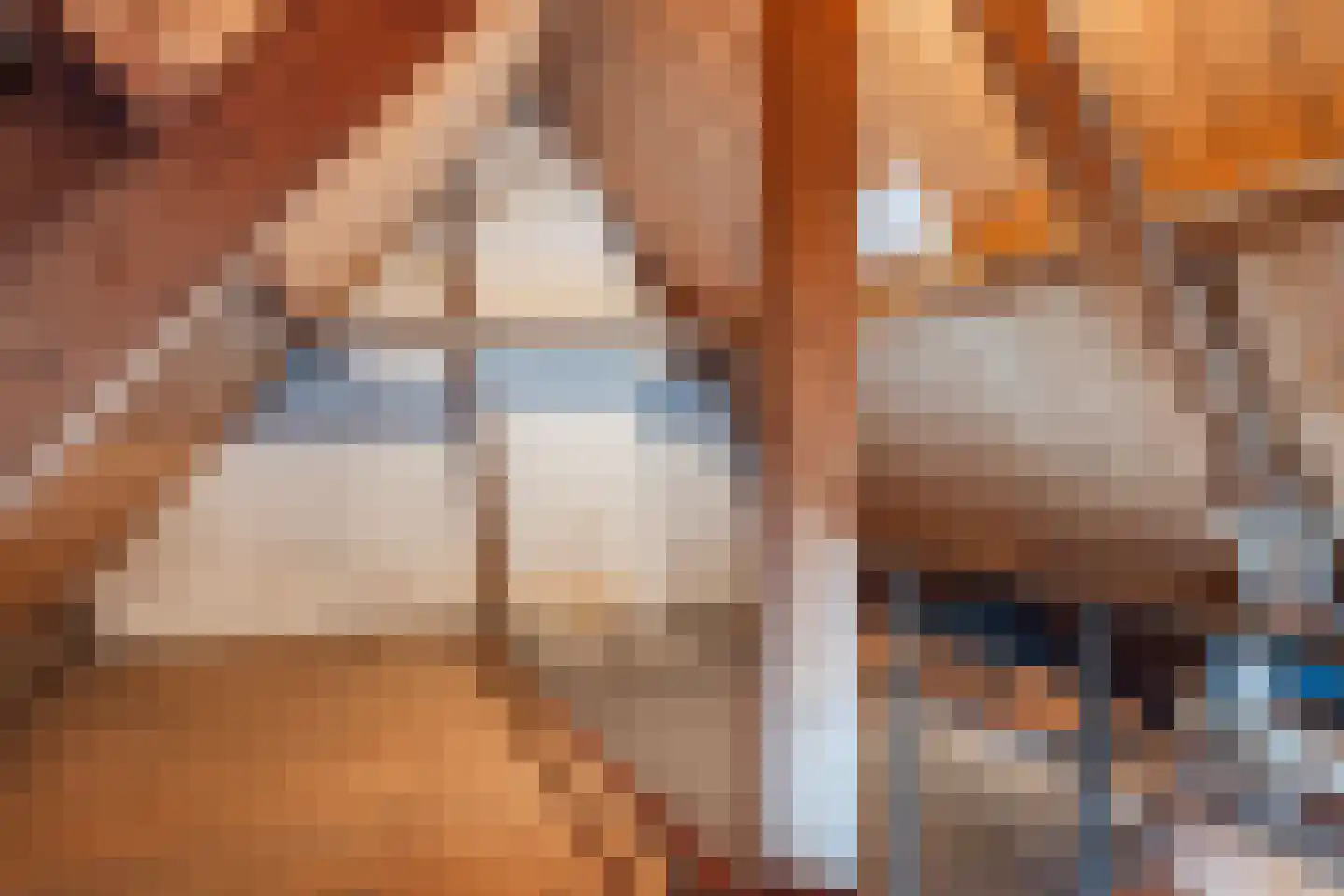 Kijkuit 77 Tiel thumbnail 37