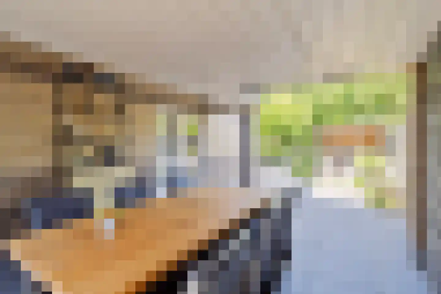Kijkuitspad 1 a Haps thumbnail 30