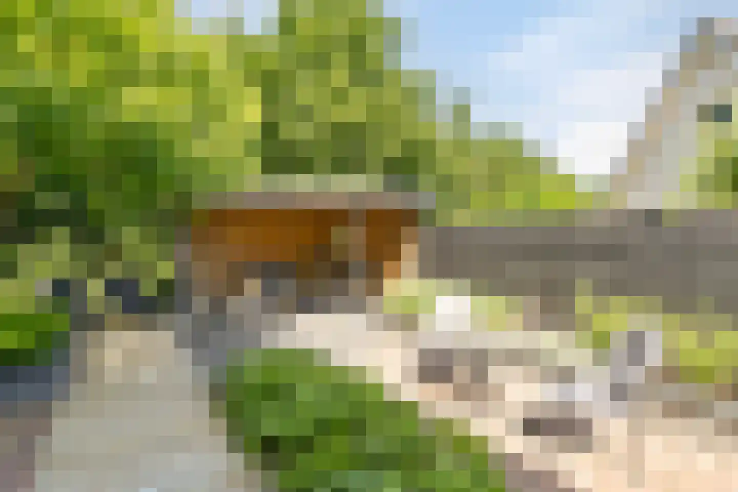 Kijkuitspad 1 a Haps thumbnail 32