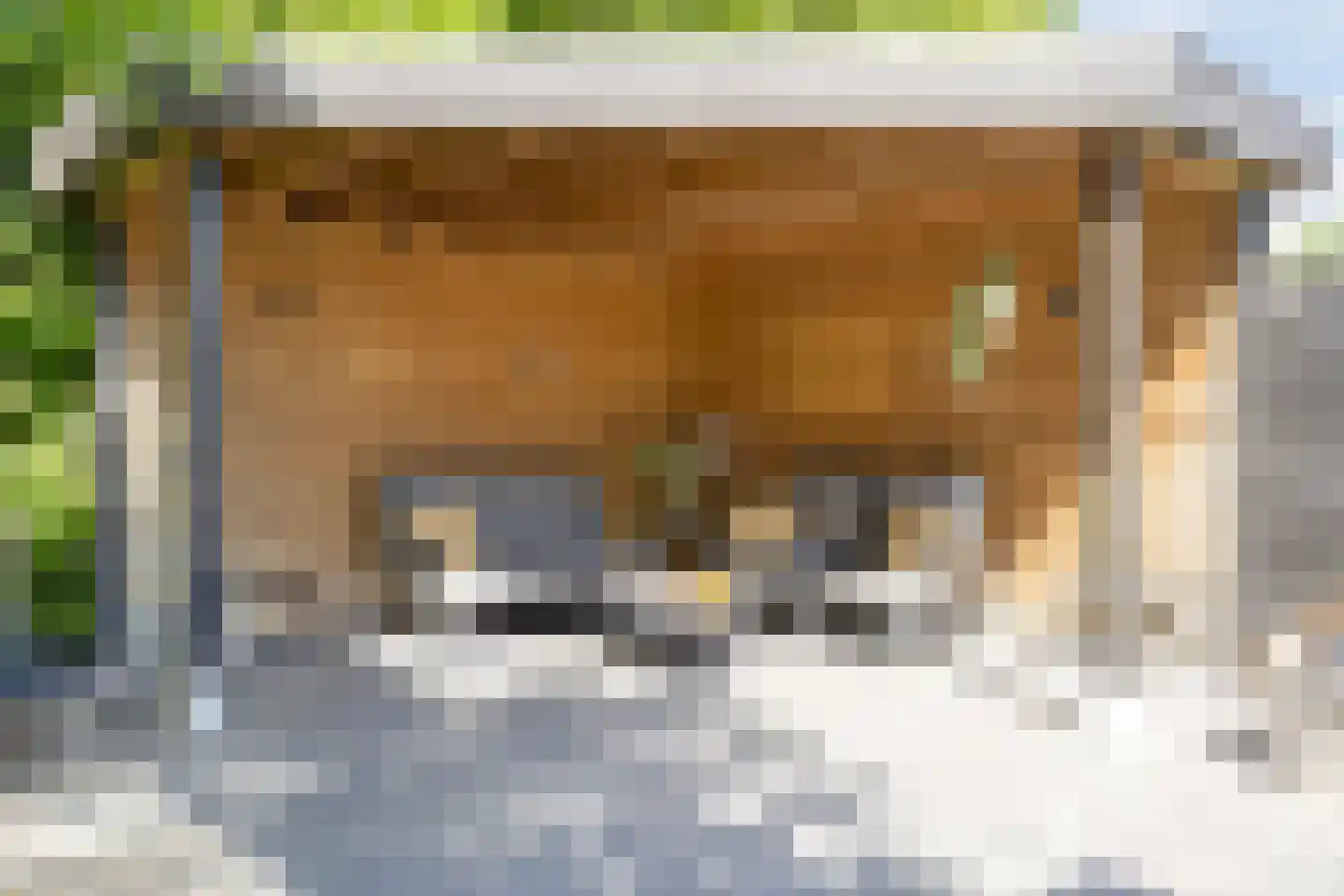 Kijkuitspad 1 a Haps thumbnail 33