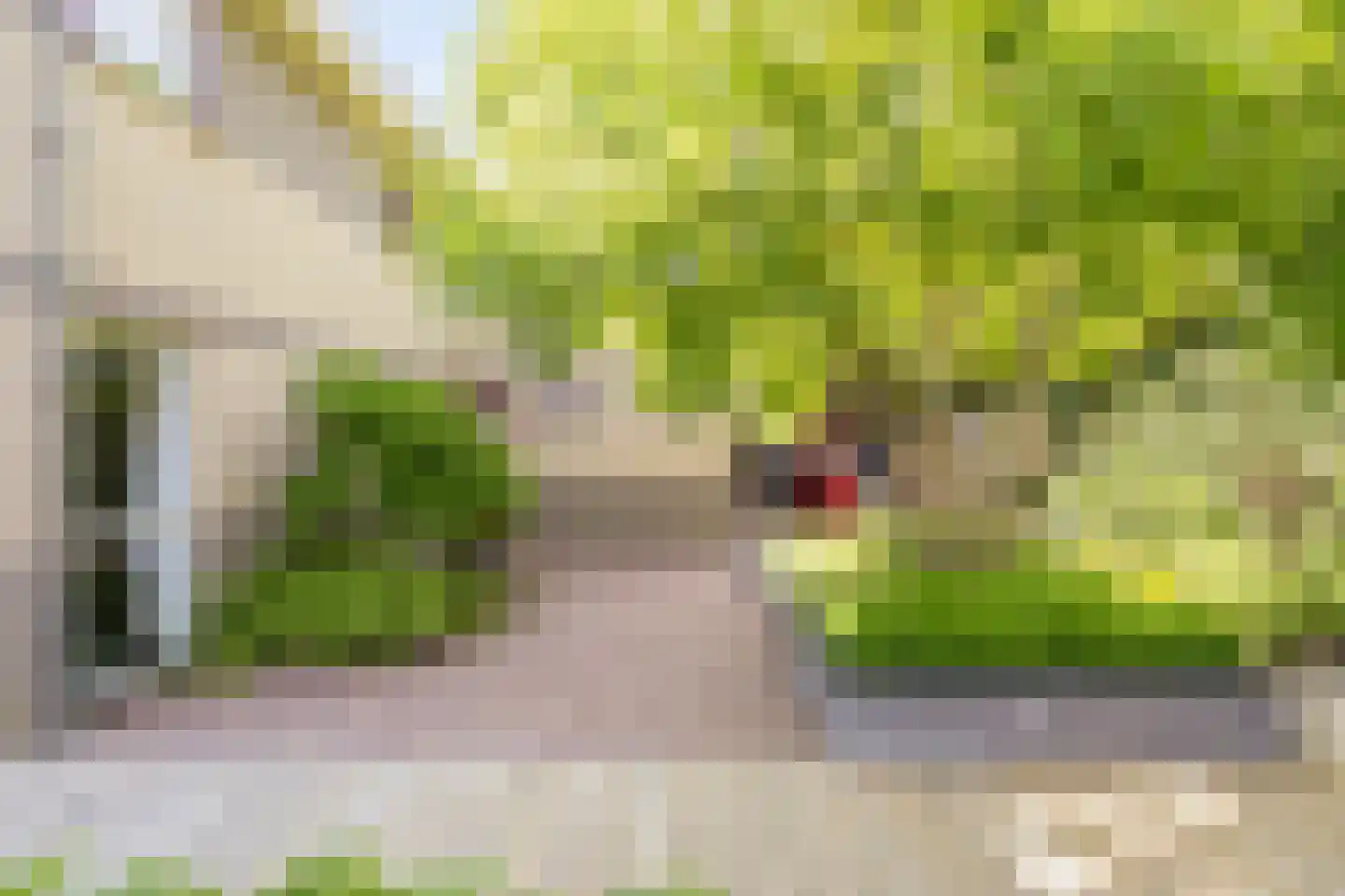Kijkuitspad 1 a Haps thumbnail 35