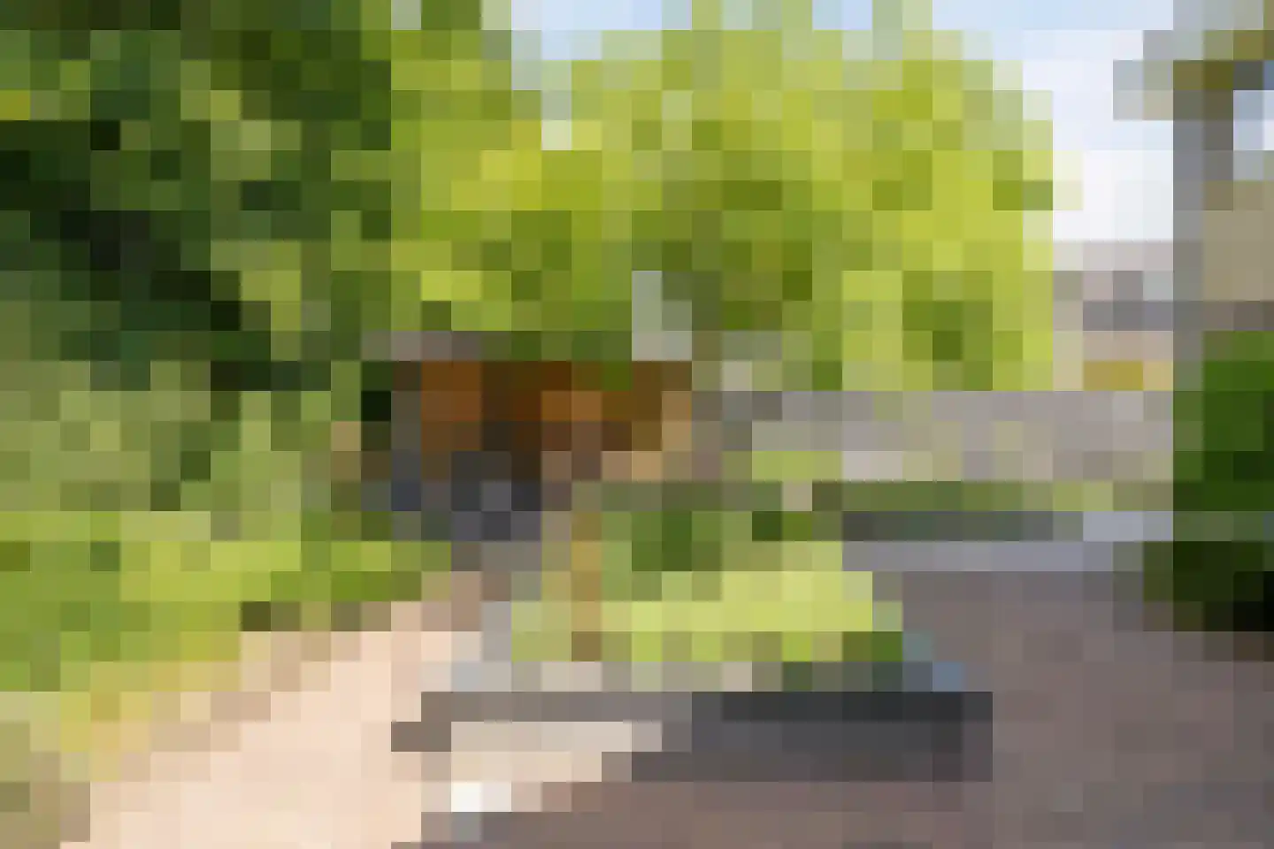 Kijkuitspad 1 a Haps thumbnail 36