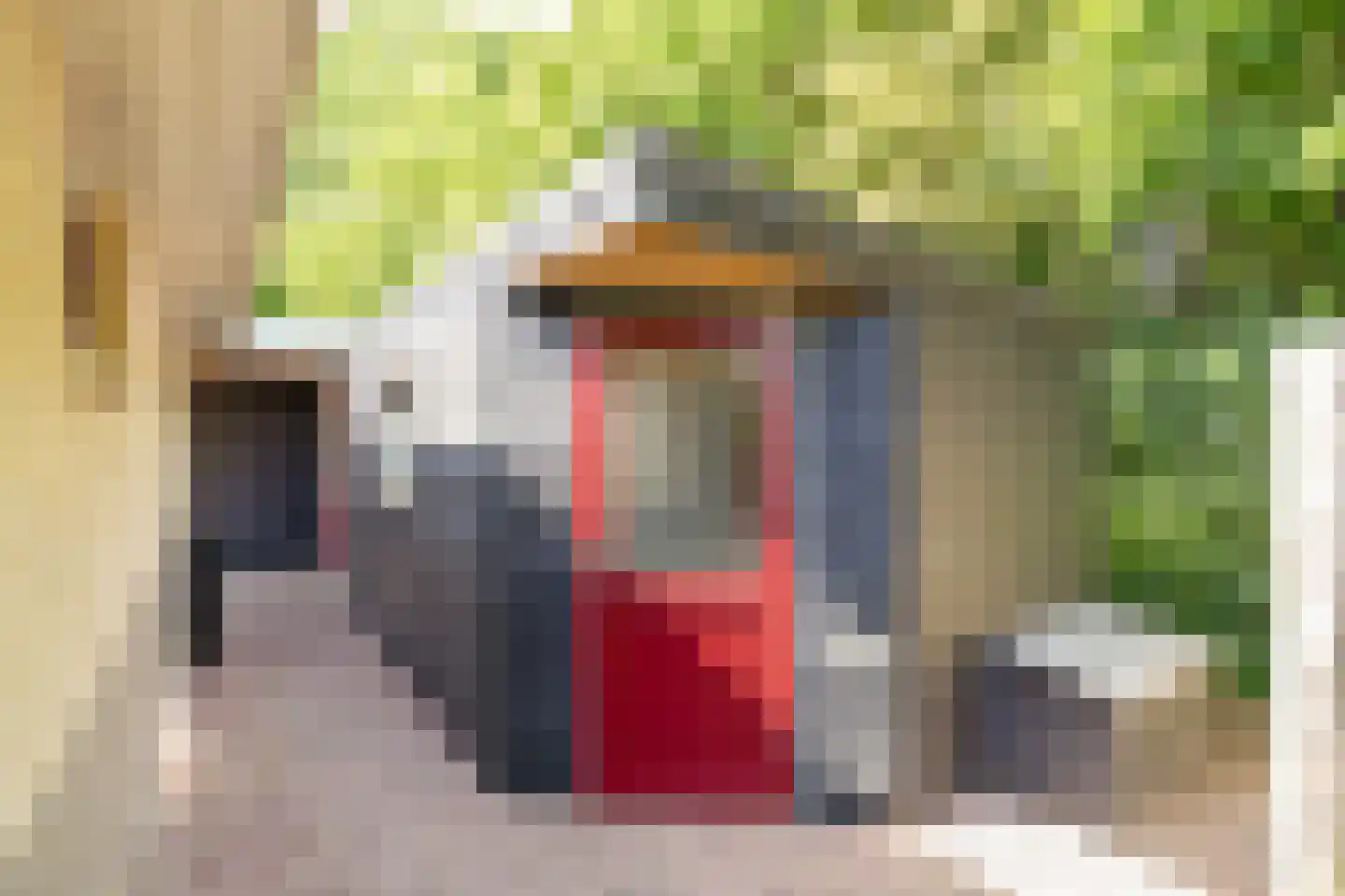 Kijkuitspad 1 a Haps thumbnail 37