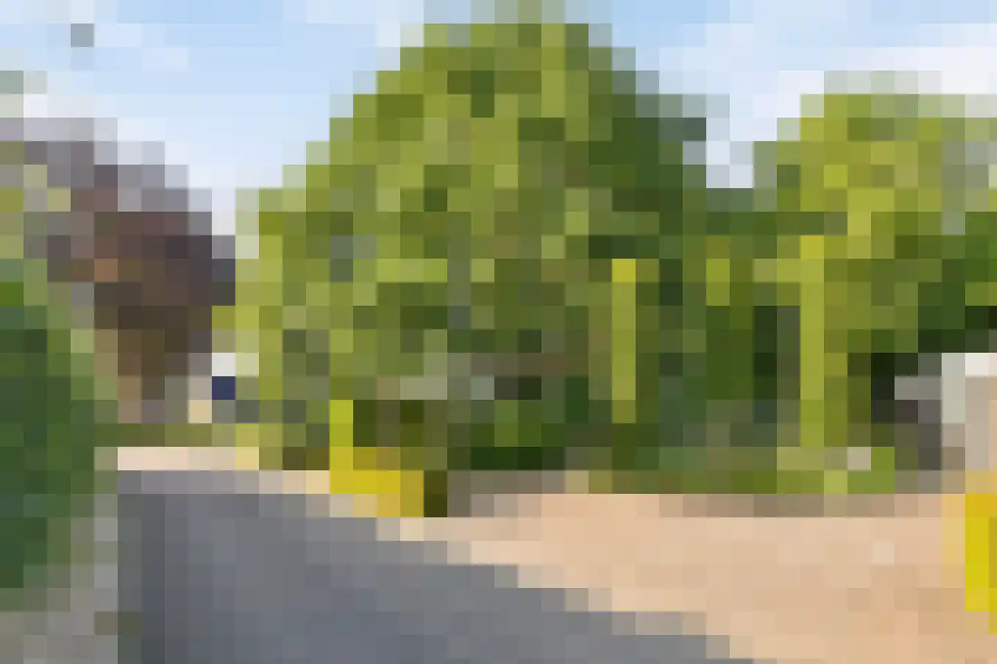 Kijkuitspad 1 a Haps thumbnail 41