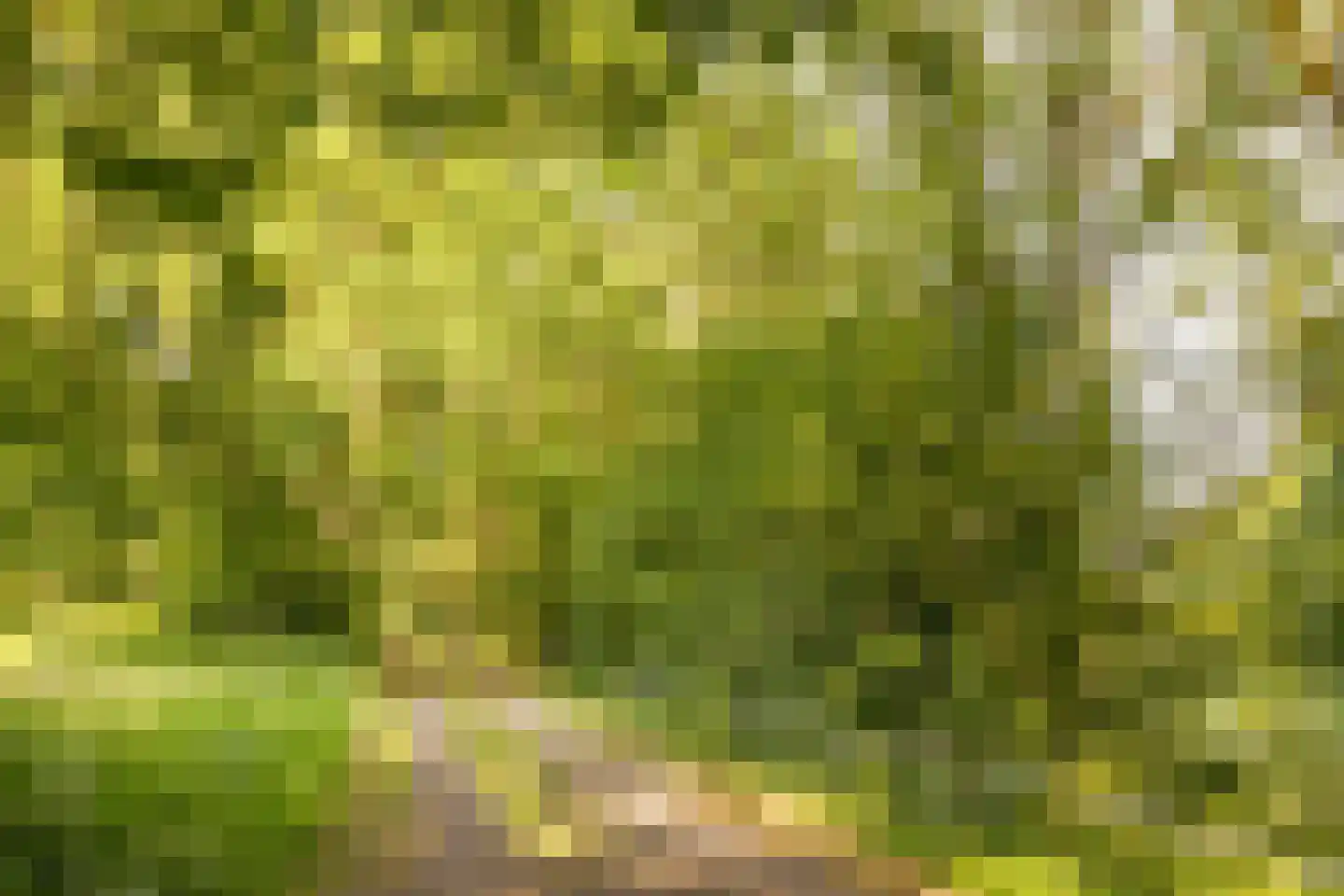 Kijkuitspad 1 a Haps thumbnail 43