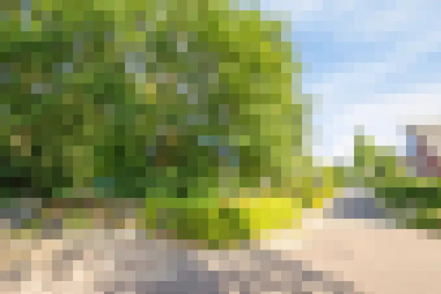 Kijkuitspad 1 a Haps thumbnail 44