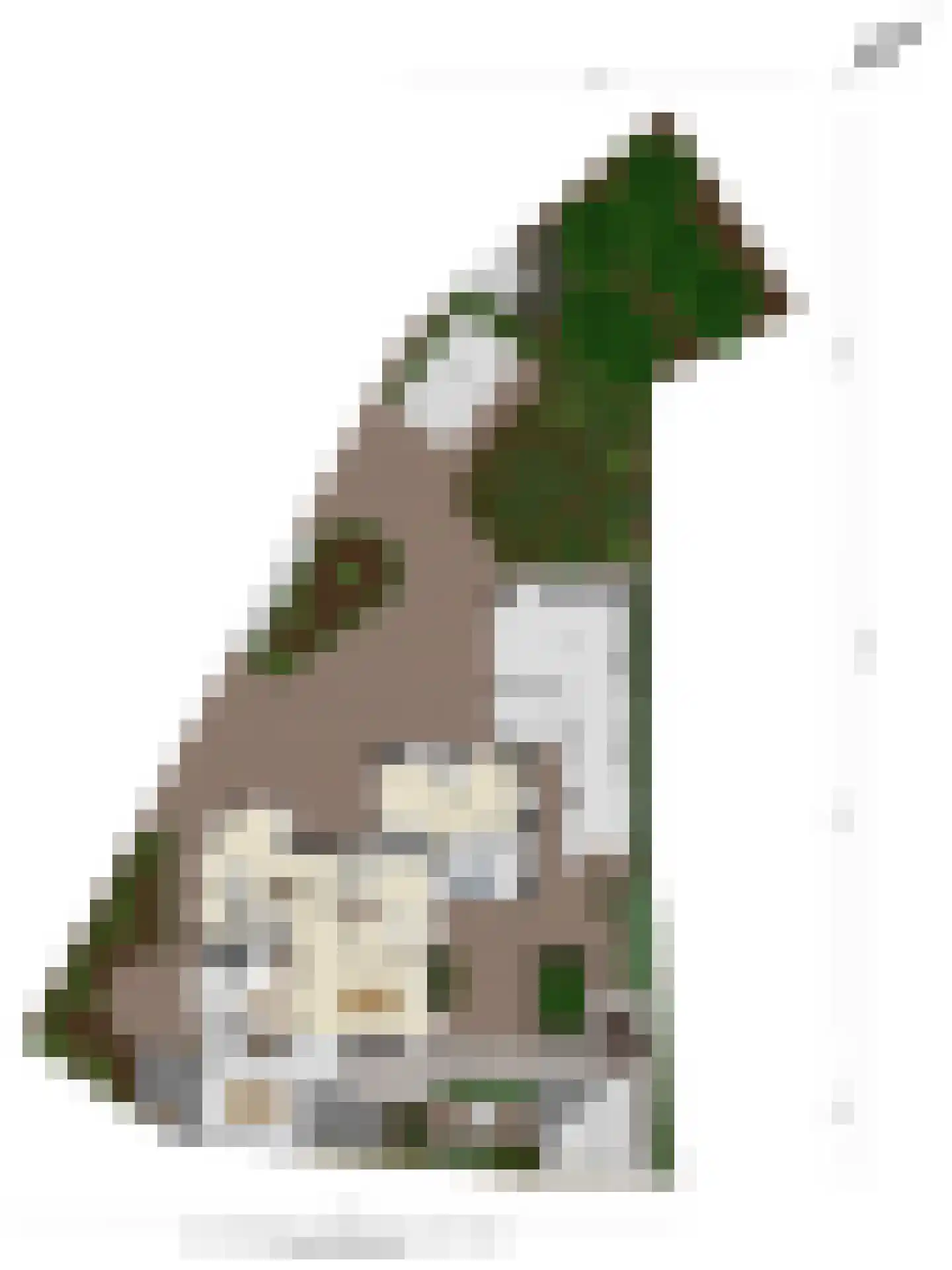 Kijkuitspad 1 a Haps thumbnail 46