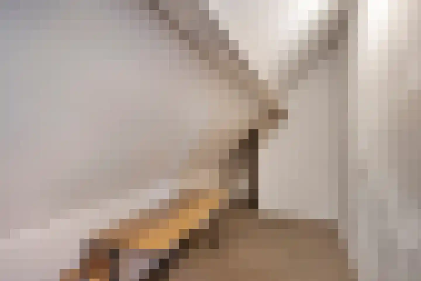 Kijkuitspad 1 Haps thumbnail 35