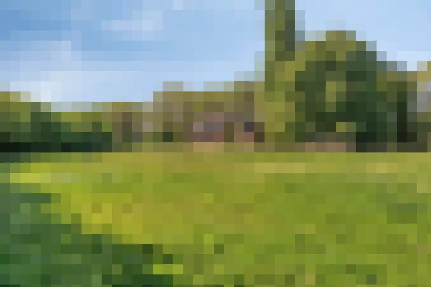 Kijkuitspad 1 Haps thumbnail 67