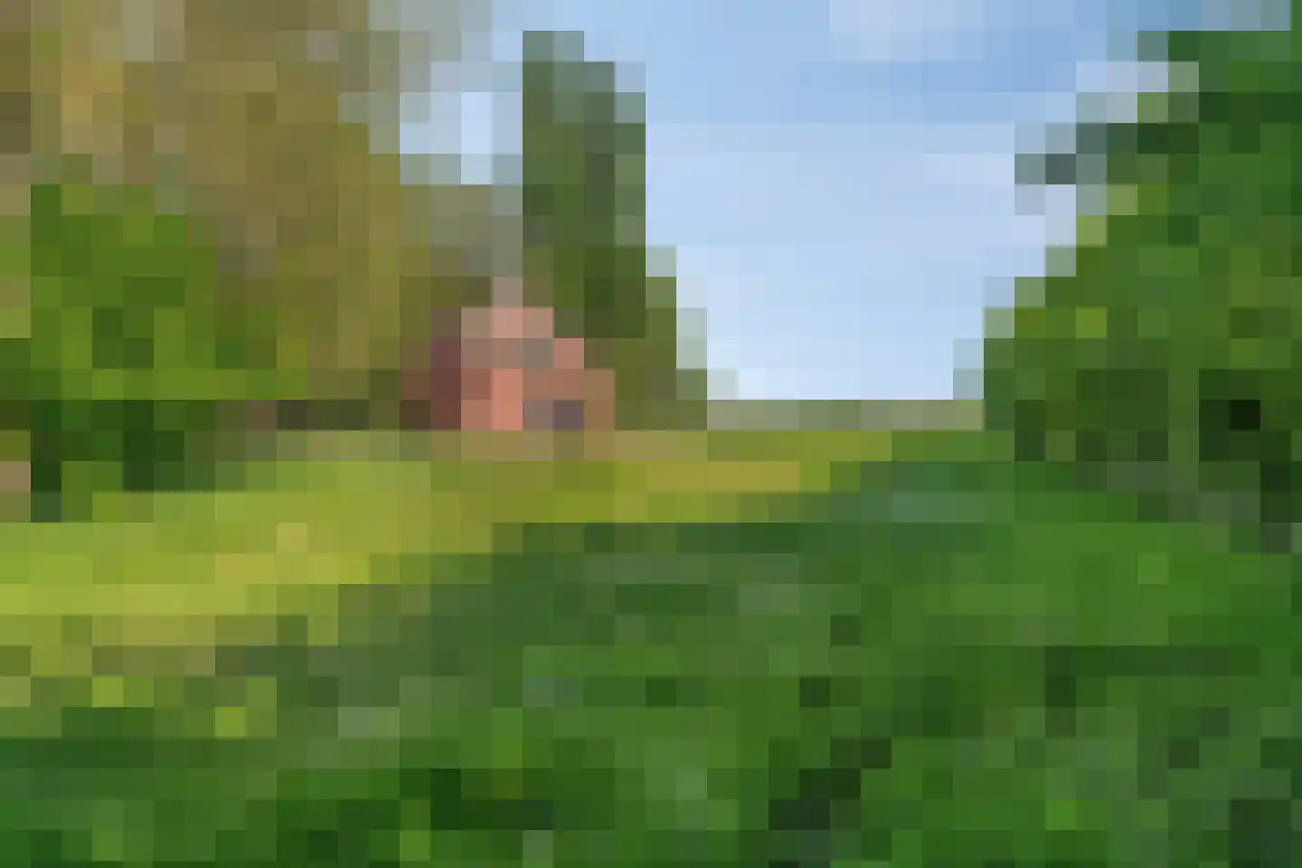 Kijkuitspad 1 Haps thumbnail 68