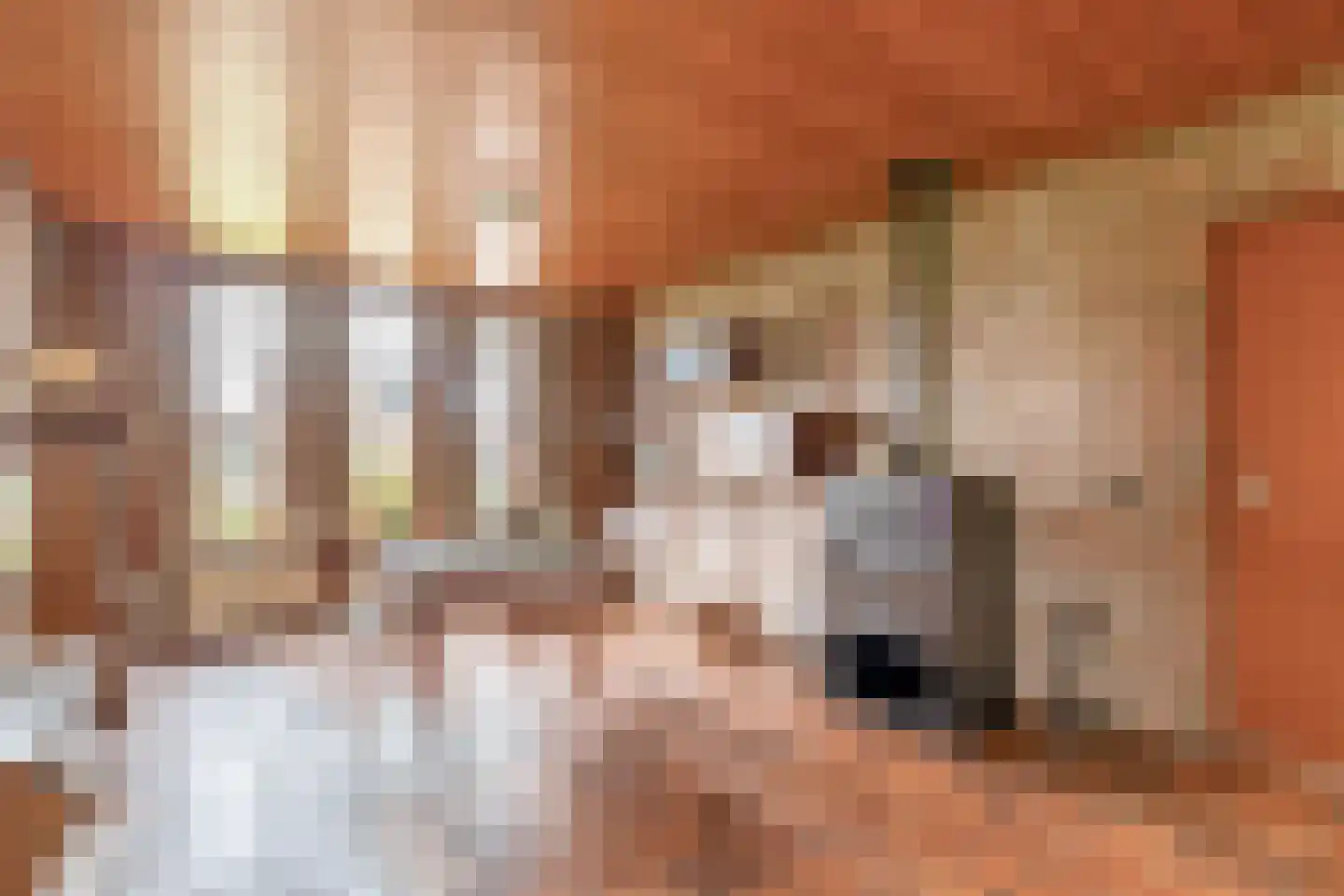 Kijlstraat 22 2e Exloërmond thumbnail 16