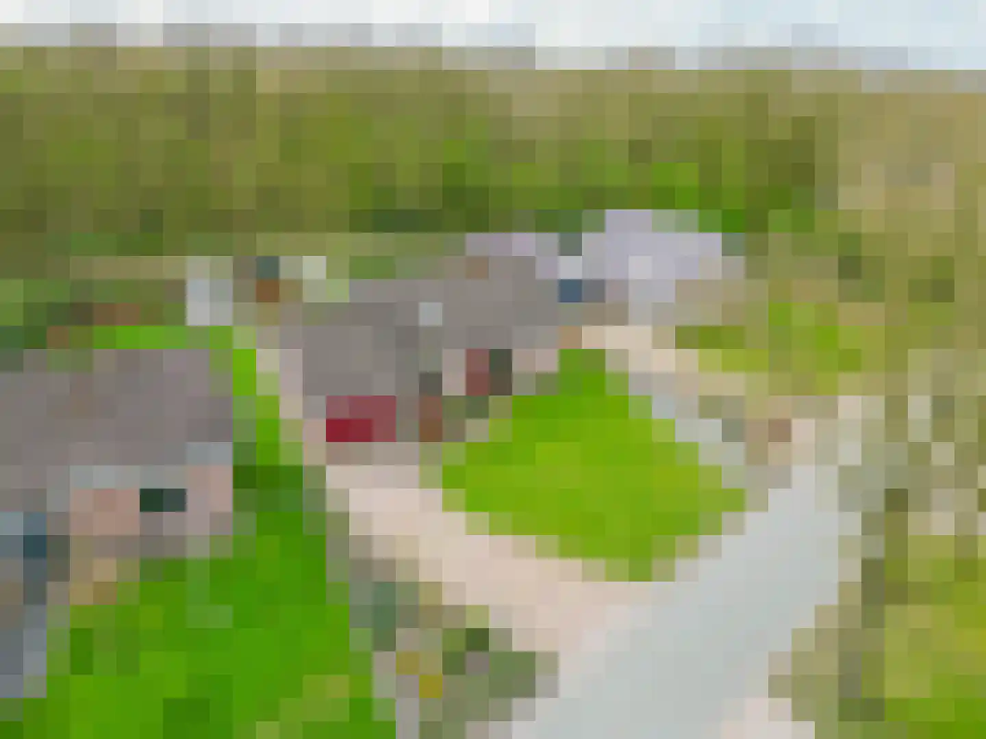 Kijlstraat 22 2e Exloërmond thumbnail 52