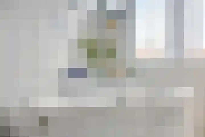 Kijsveld 12 Breda thumbnail 17