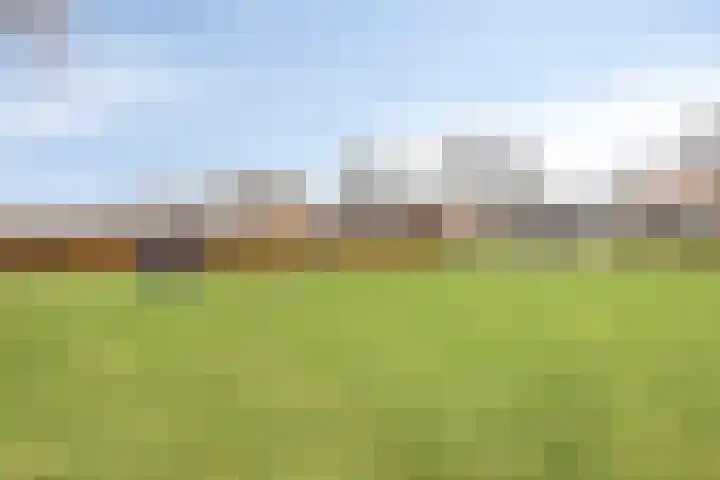 Kijsveld 12 Breda thumbnail 29