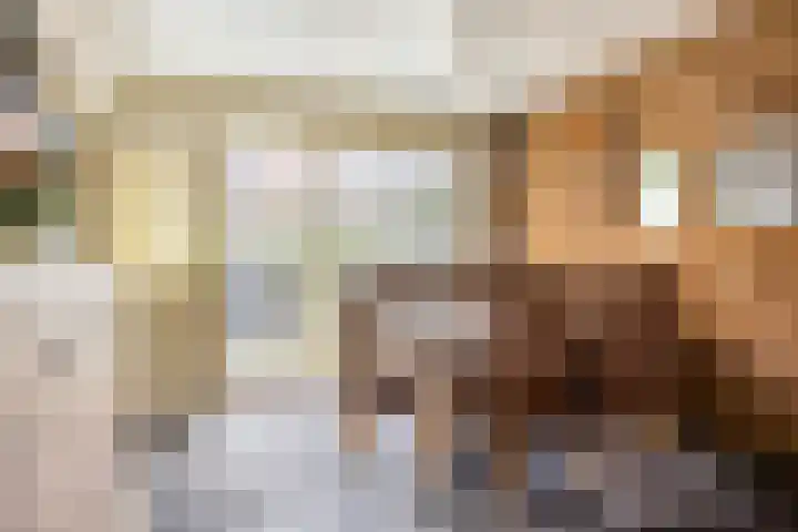 Kijsveld 12 Breda thumbnail 4