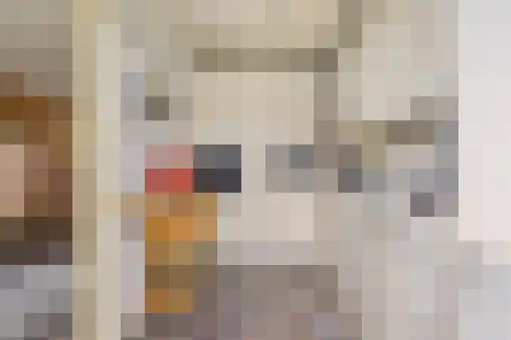 Kijsveld 12 Breda thumbnail 7