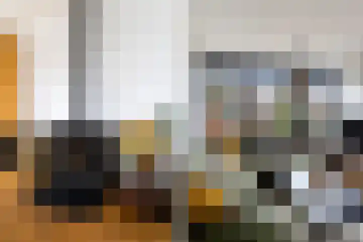 Kijsveld 20 Breda thumbnail 12