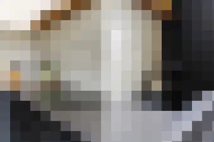 Kijsveld 20 Breda thumbnail 23
