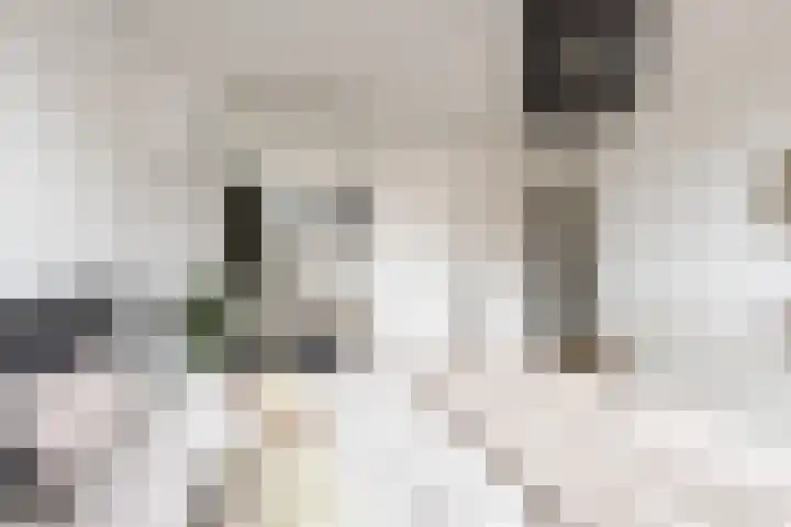Kijsveld 20 Breda thumbnail 29