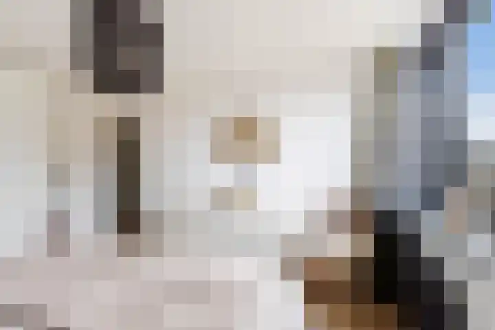 Kijsveld 20 Breda thumbnail 30