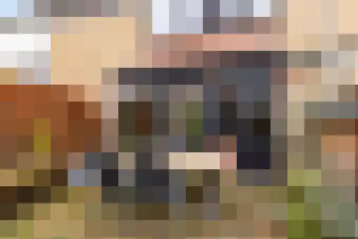 Kijsveld 20 Breda thumbnail 44