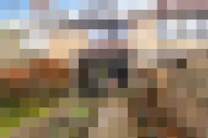 Kijsveld 20 Breda thumbnail 45