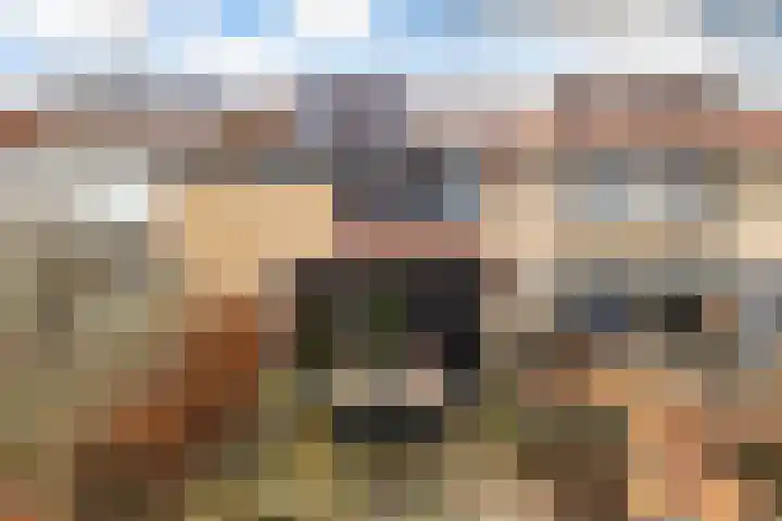 Kijsveld 20 Breda thumbnail 47