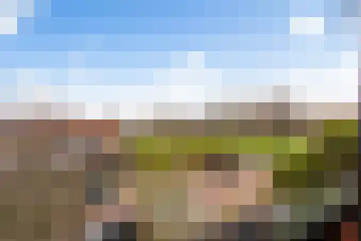 Kijsveld 20 Breda thumbnail 49