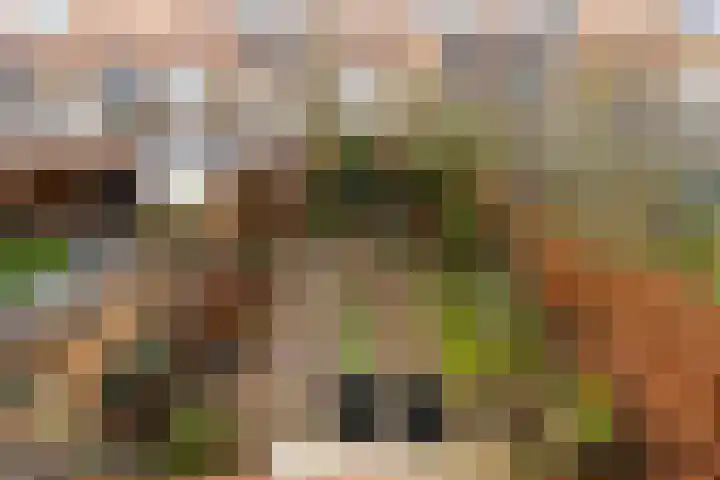 Kijsveld 20 Breda thumbnail 51