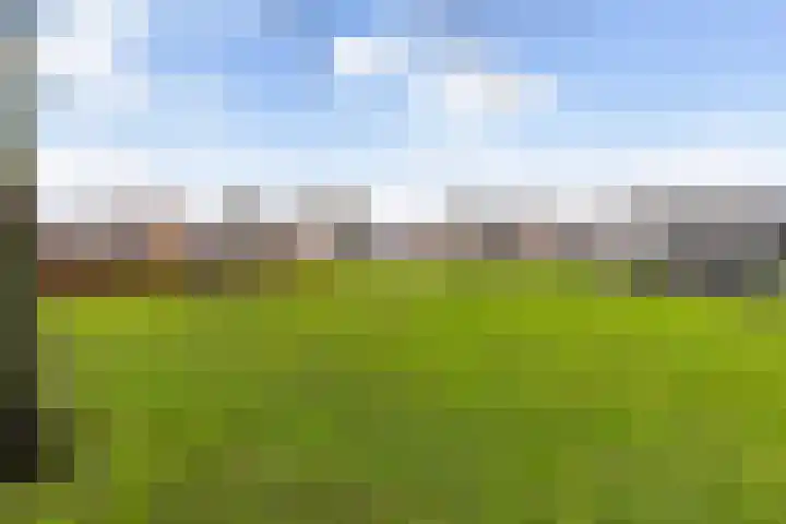 Kijsveld 20 Breda thumbnail 52