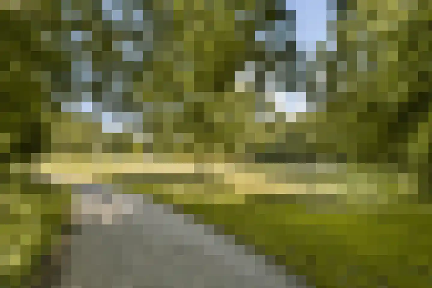 Kikkenstein 3035 Amsterdam thumbnail 5
