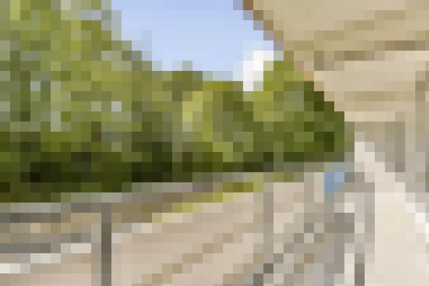 Kikkenstein 3035 Amsterdam thumbnail 6