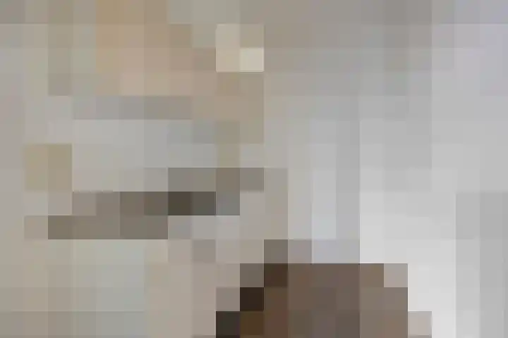 Kikkenstein 3041 Amsterdam thumbnail 10