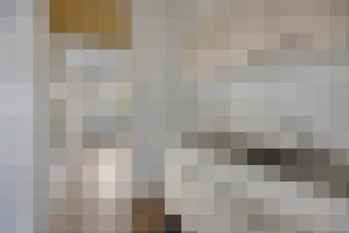 Kikkenstein 3041 Amsterdam thumbnail 11