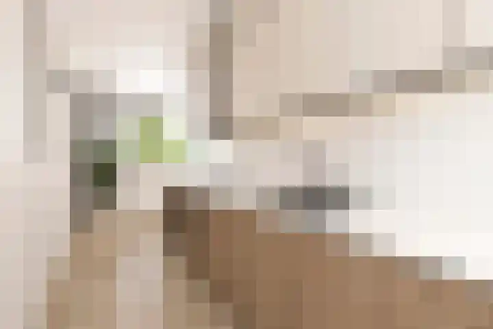 Kikkenstein 3143 Amsterdam thumbnail 18