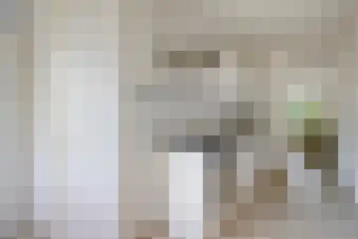 Kikkenstein 3143 Amsterdam thumbnail 19