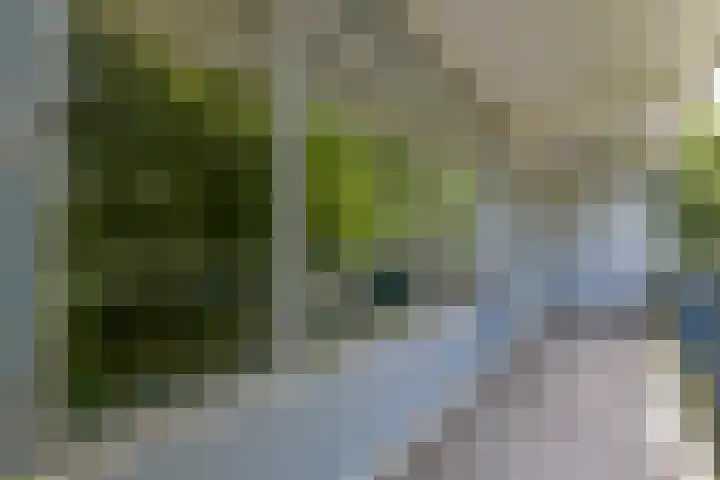 Kikkenstein 3143 Amsterdam thumbnail 30