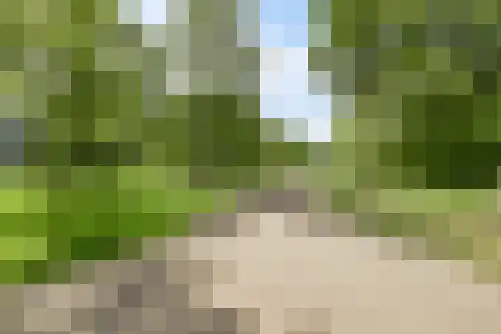 Kikkenstein 3143 Amsterdam thumbnail 31