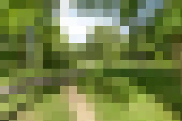 Kikkenstein 3143 Amsterdam thumbnail 32