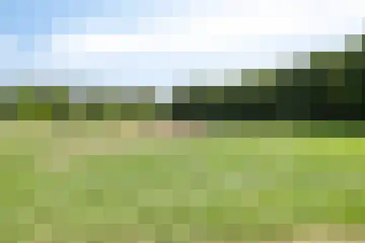 Kikkenstein 3143 Amsterdam thumbnail 33