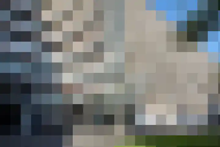 Kikkenstein 3344 Amsterdam thumbnail 27