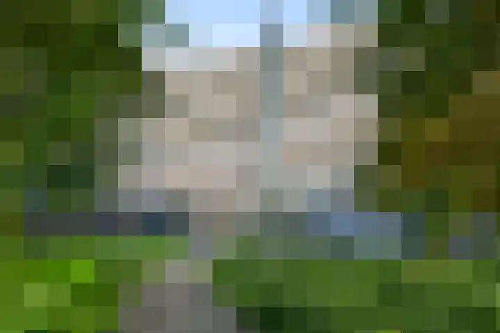 Kikkenstein 3344 Amsterdam thumbnail 31